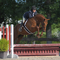 Swan Lake Stables – The premiere hunter/jumper facility in south ...